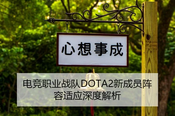 电竞职业战队DOTA2新成员阵容适应深度解析